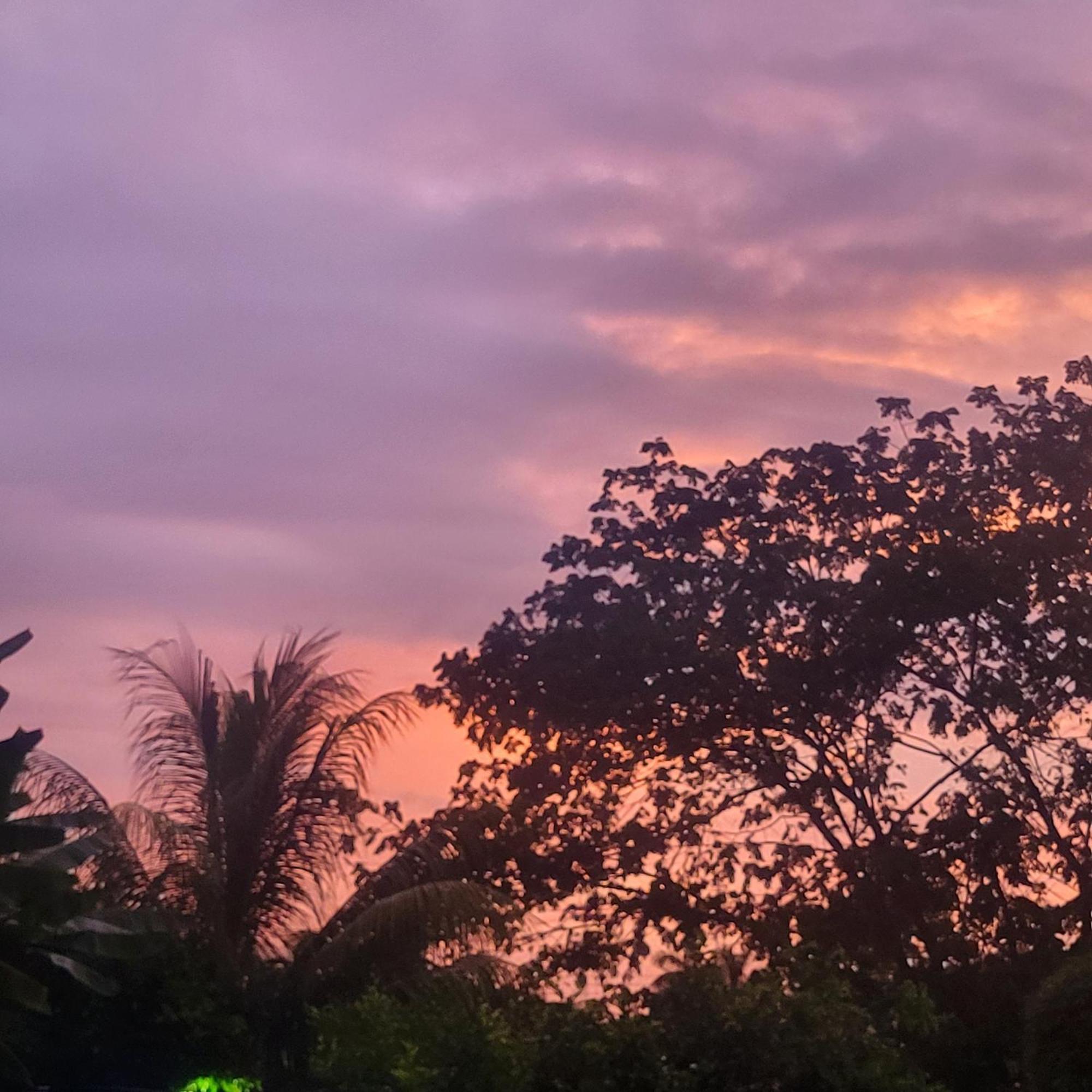 Madre Terra Bed & Breakfast Uvita Bagian luar foto