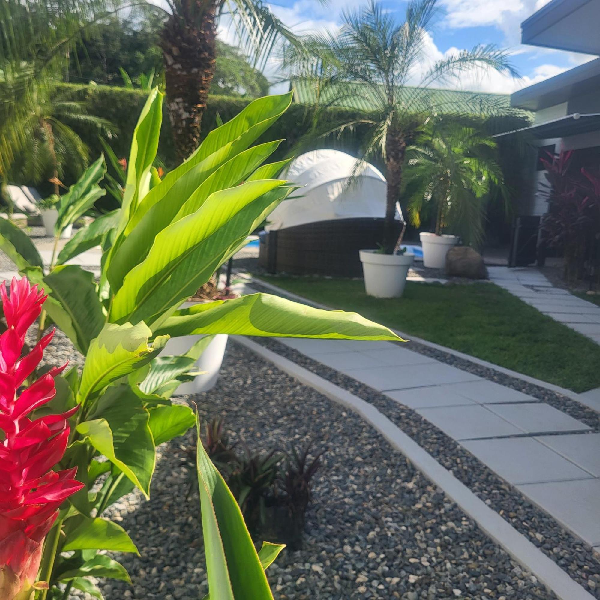 Madre Terra Bed & Breakfast Uvita Bagian luar foto