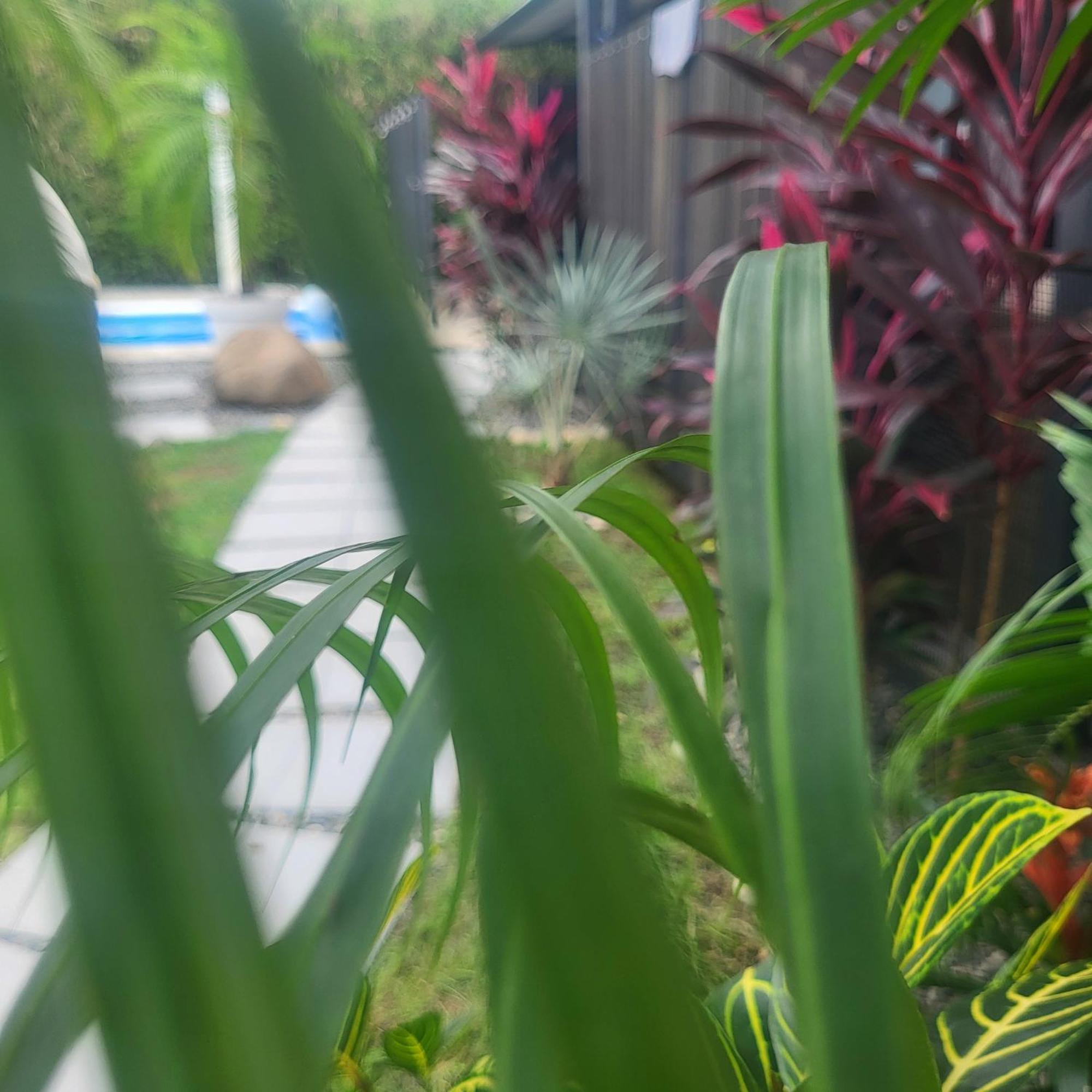 Madre Terra Bed & Breakfast Uvita Bagian luar foto