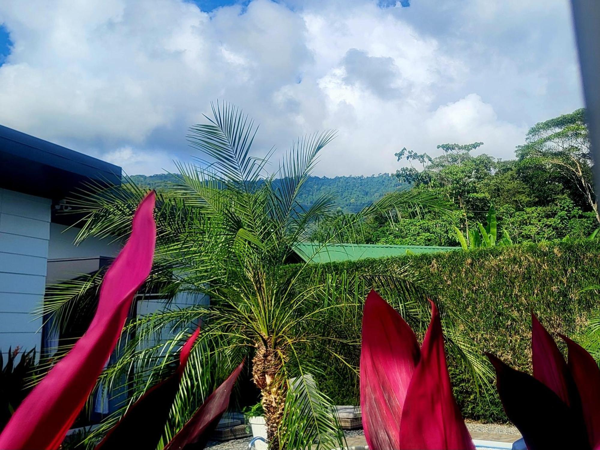 Madre Terra Bed & Breakfast Uvita Bagian luar foto