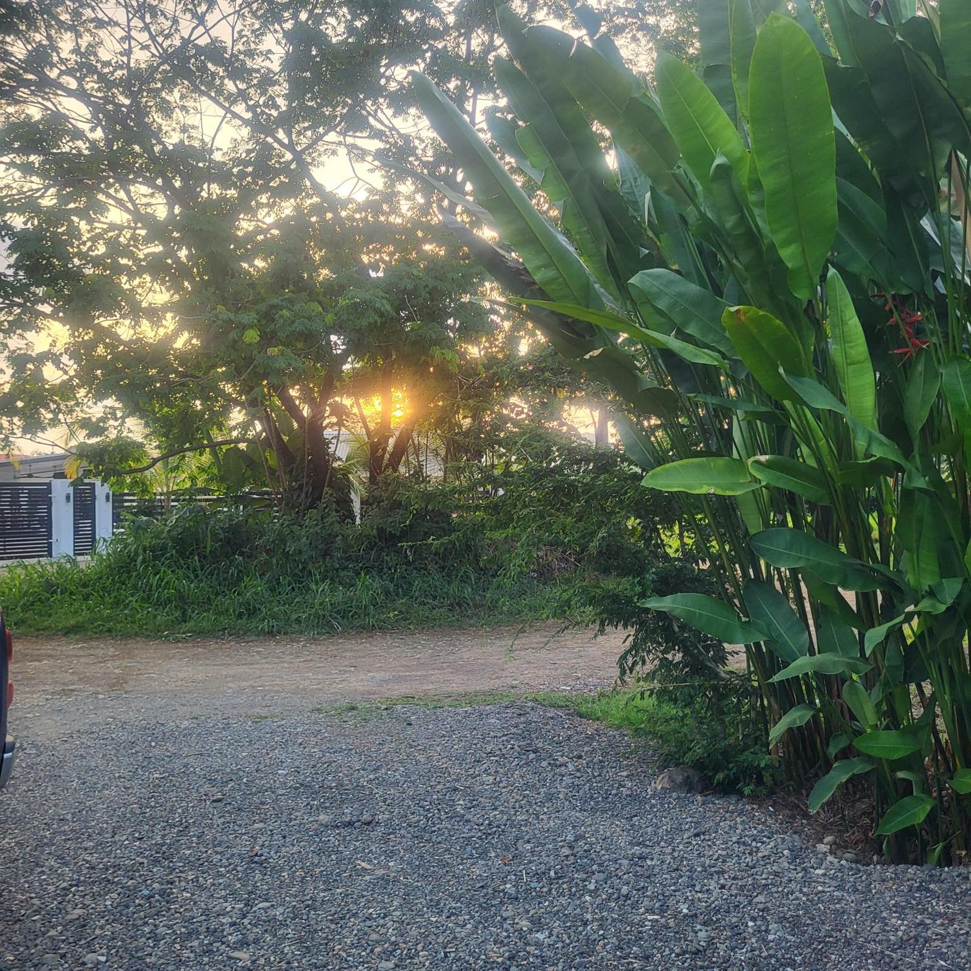 Madre Terra Bed & Breakfast Uvita Bagian luar foto